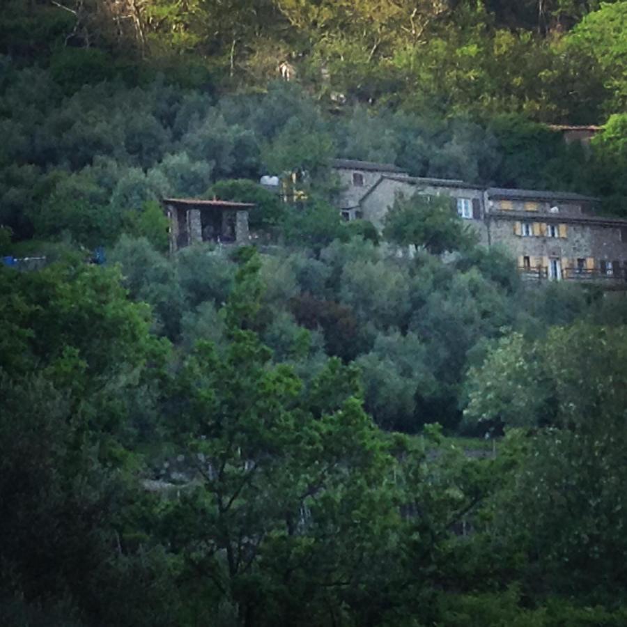 Ne Farmhouse B&B Castagnola 64 מראה חיצוני תמונה