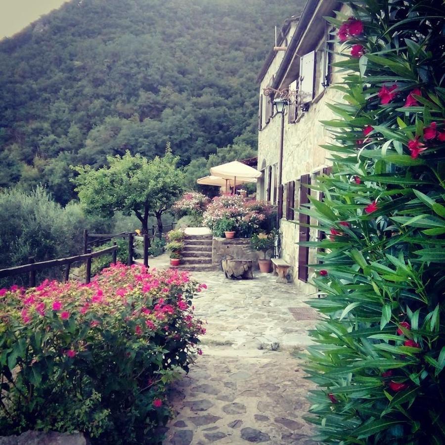 Ne Farmhouse B&B Castagnola 64 מראה חיצוני תמונה
