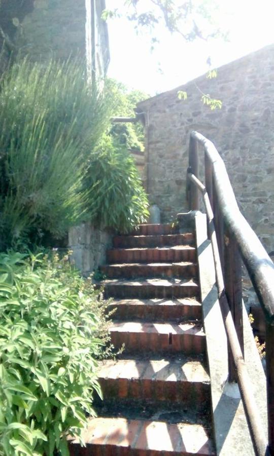 Ne Farmhouse B&B Castagnola 64 מראה חיצוני תמונה